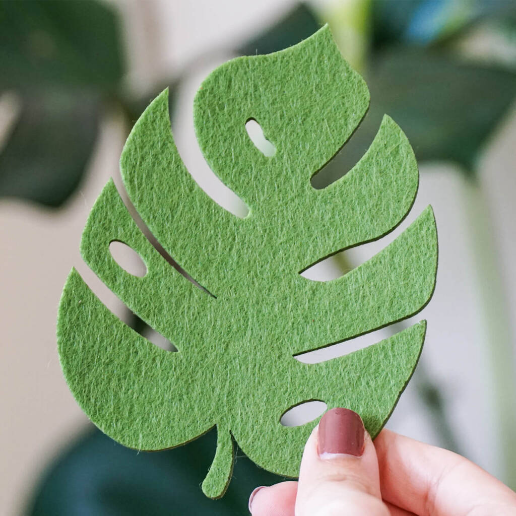 monstera-bardak-altligi.jpg